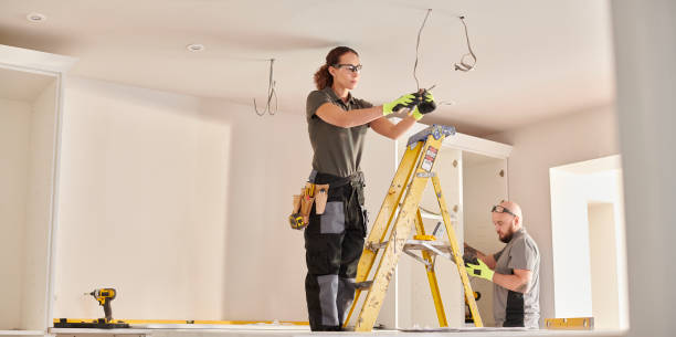 Best Local Electrician Companies  in Rogersville, TN