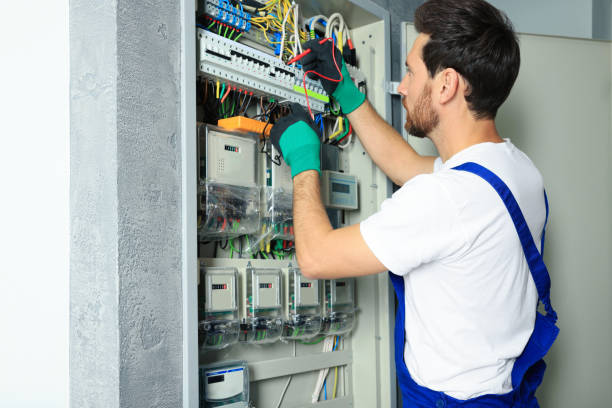 Best Electric Panel Repair  in Rogersville, TN