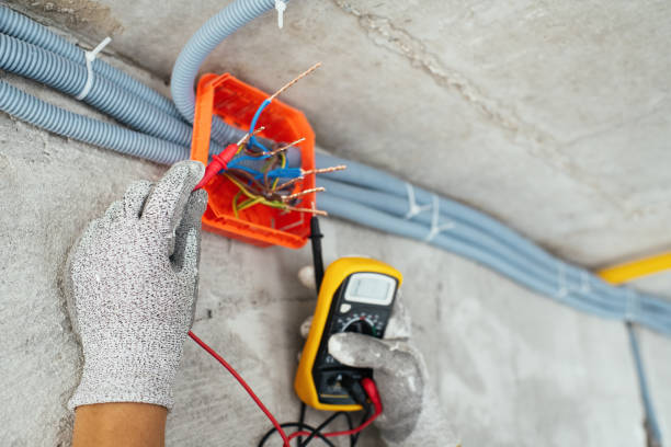 Best Electrical Rewiring Services  in Rogersville, TN
