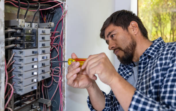 Best Electrical Upgrades for Homes  in Rogersville, TN